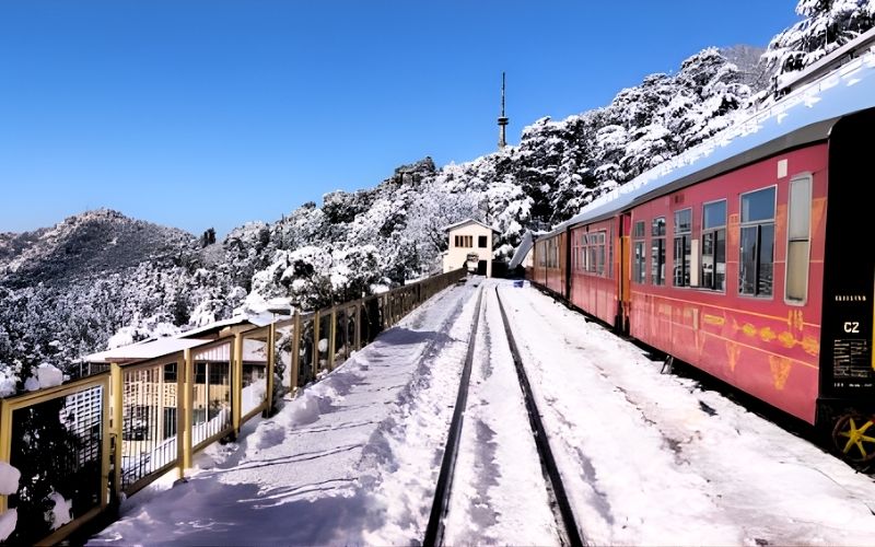 Himalayan Grandeur & Golden Legacy